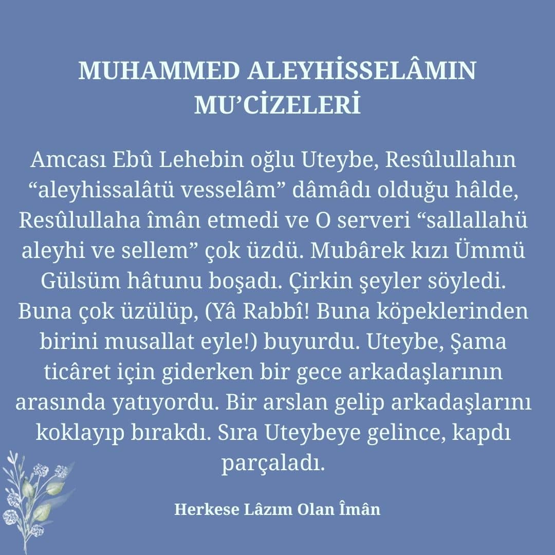 Mucizeleri (26)